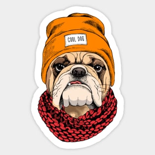 Cool Dog Sticker